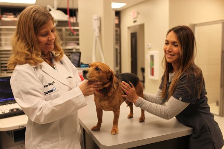 Circle B Veterinary Hospital