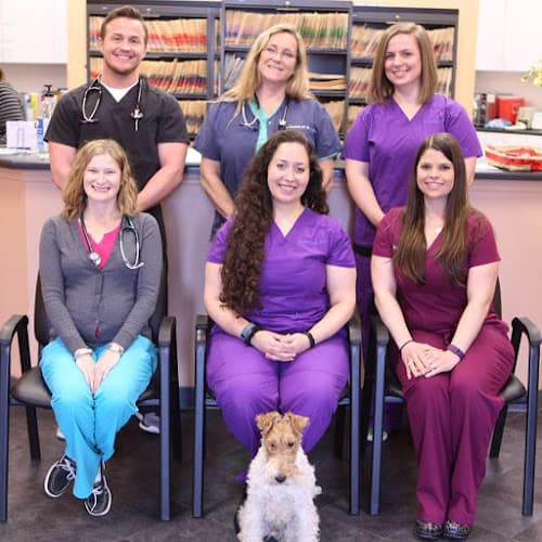 VCA Westside Animal Hospital