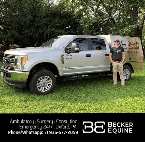 Becker Equine