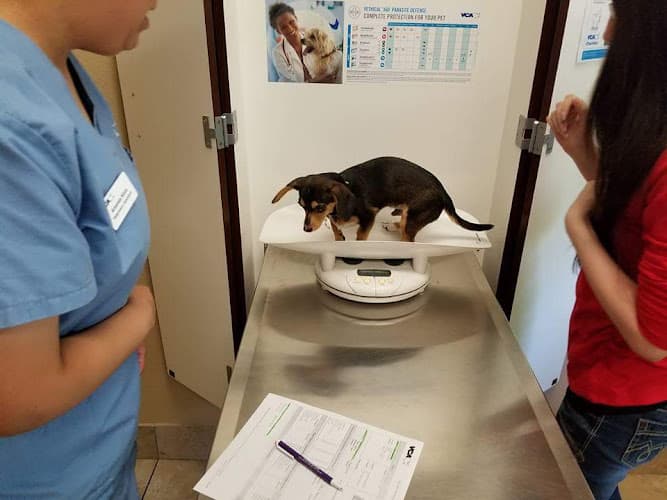 VCA Lakewood Animal Hospital