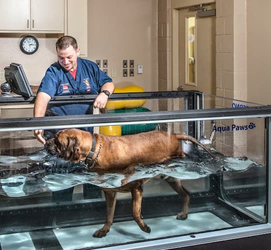 All Pets Animal Hospital & 24 Hour Emergency Care