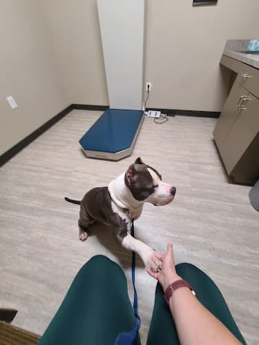 Barbers Hill Animal Hospital