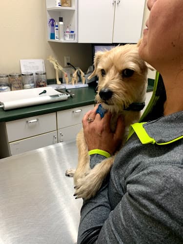 Taylor Animal Hospital