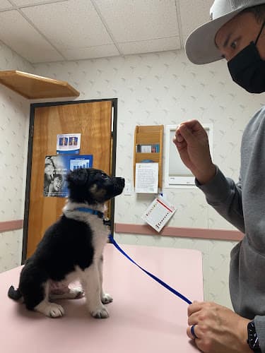 Carrollton West Pet Hospital