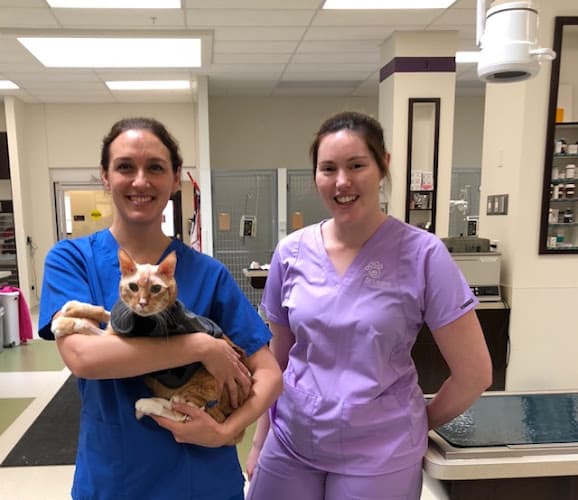 BluePearl Pet Hospital
