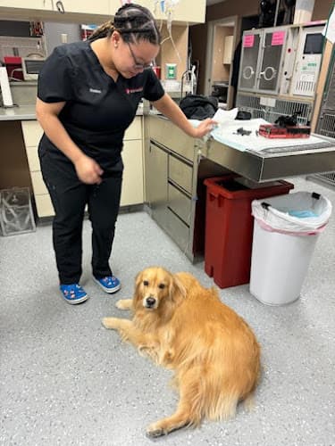 Airport Freeway Animal Emergency Hospital