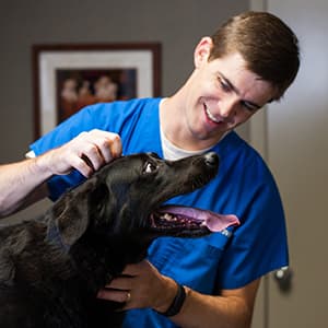 Taylor Veterinary Clinic