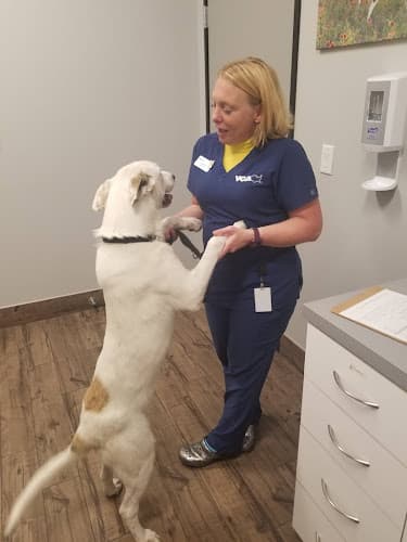 VCA Terrell Animal Hospital