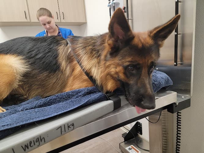 McKinney Emergency Veterinary Clinic