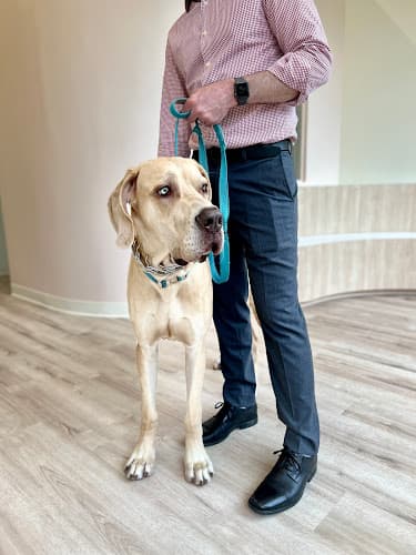 Petfolk Veterinary & Urgent Care - North Dallas