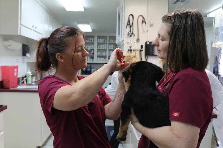 Pet Medical Center