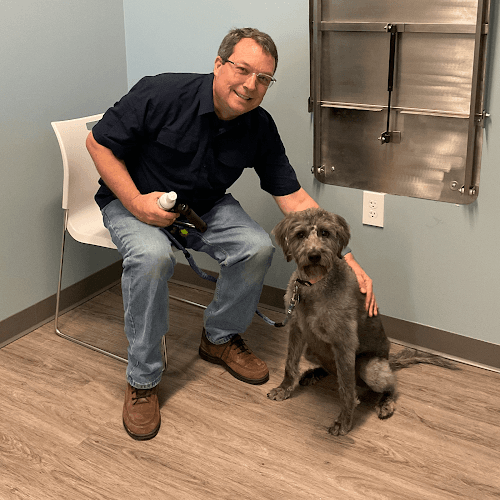 easyvet Veterinarian McKinney