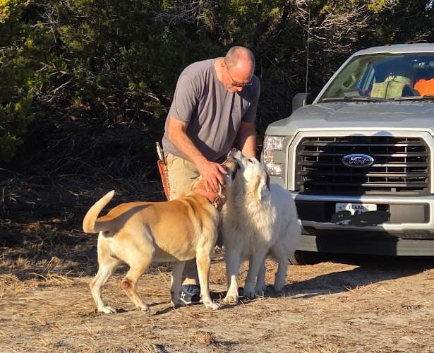 Granbury Animal Clinic