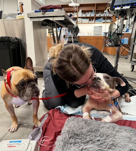 Veterinary Emergency Group