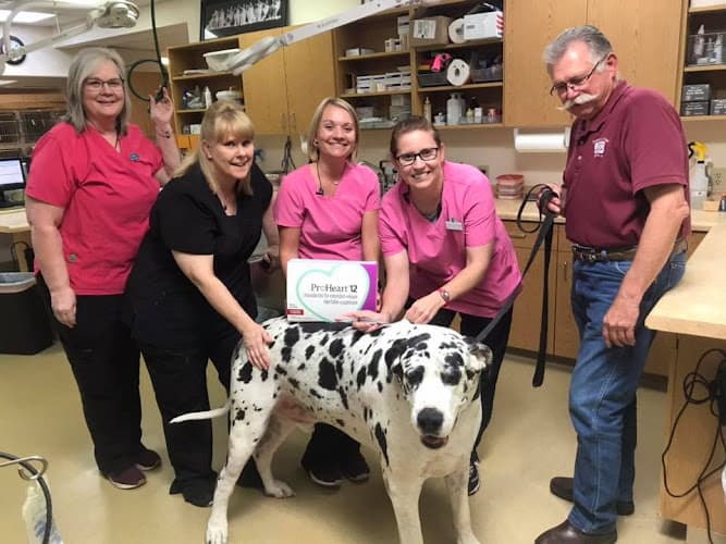 Schertz Animal Hospital