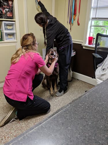 Alvin Animal Clinic