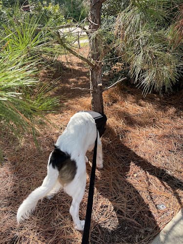 Animal Hospital of the Woodlands