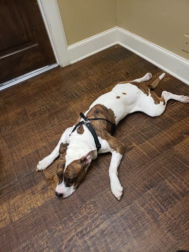 Tyler Veterinary Center
