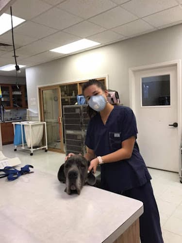 BEEVET Animal Hospital