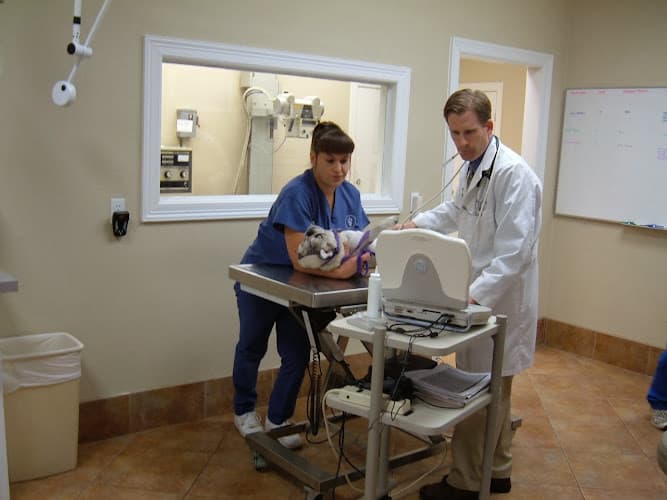 Beechnut Animal Hospital