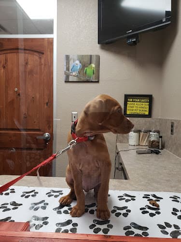 Summerfields Animal Hospital