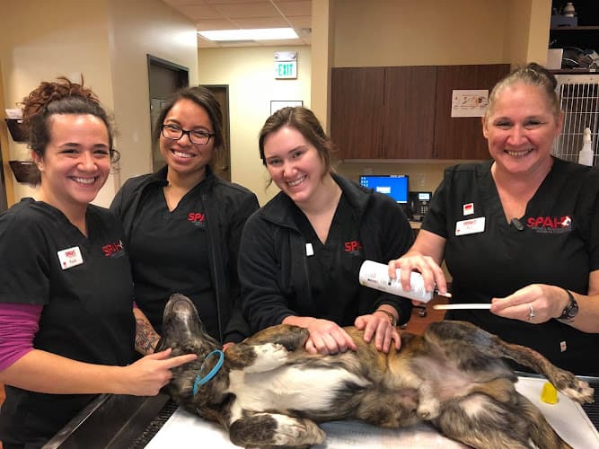Sienna Plantation Animal Hospital