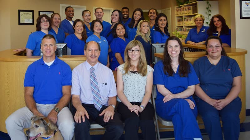 Texas Veterinary Hospitals