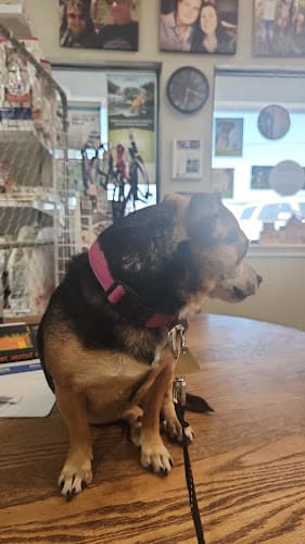 Glen Rose Veterinary Clinic