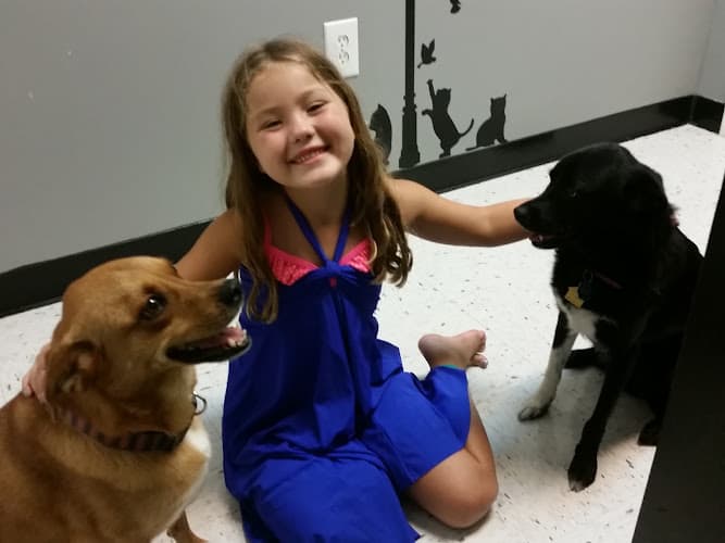 Bridgeway Animal Clinic