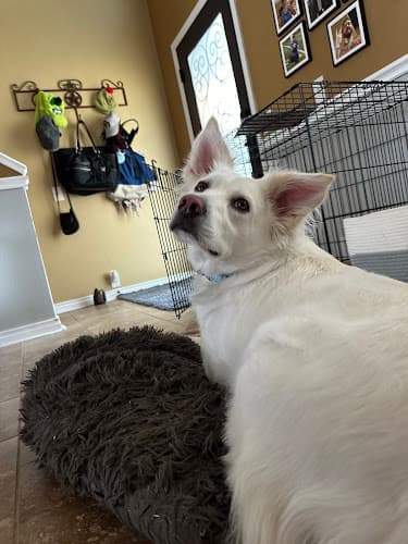 Parker Road Veterinary Hospital