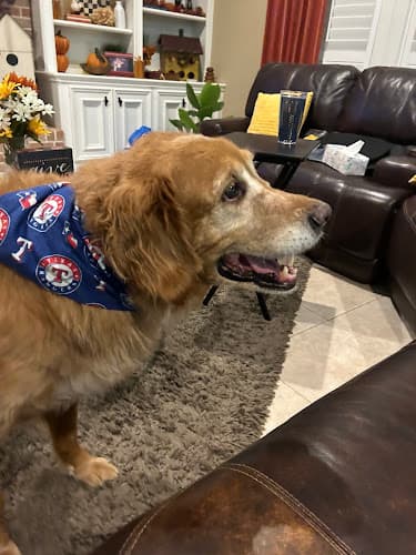 Longwood Animal Hospital and Pet Resort