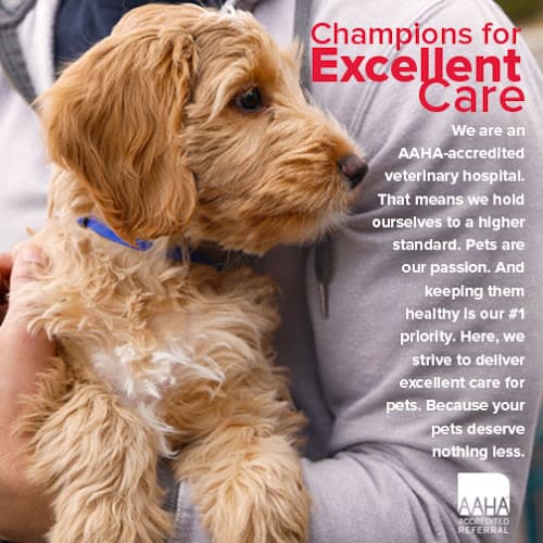 Farrell Animal Hospital