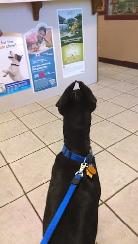 Ark Veterinary Hospital