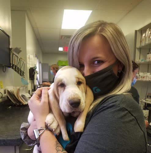 Eldorado Animal Hospital