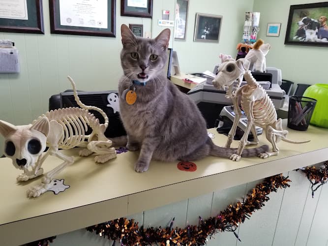 North Concho Veterinary Clinic