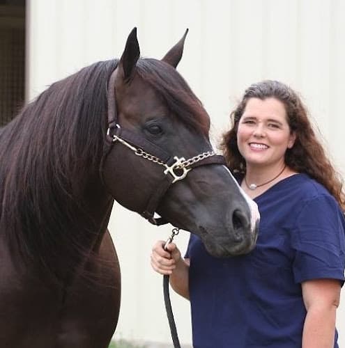 Equanimity Equine Internal Medicine