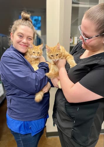 Five Star Veterinary Center