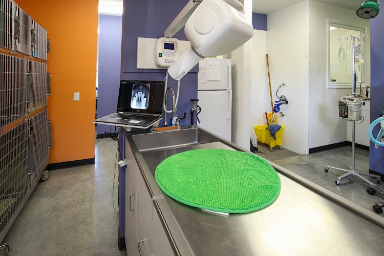 Heights Veterinarian - Urban Animal Veterinary Hospital
