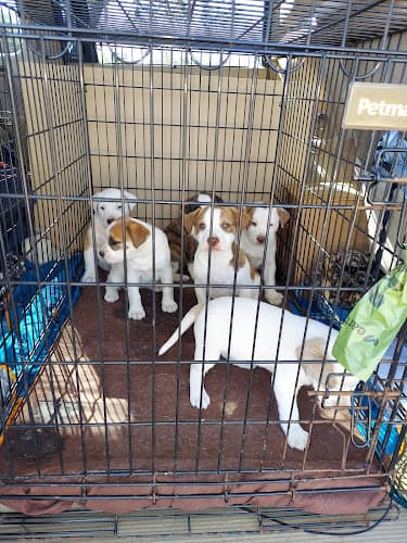 Kendall County Veterinary Center