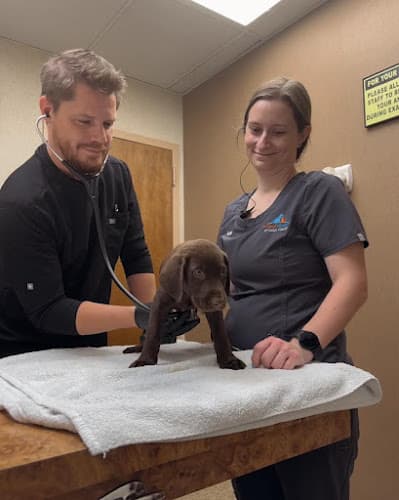 Animal Hospital of Collin County