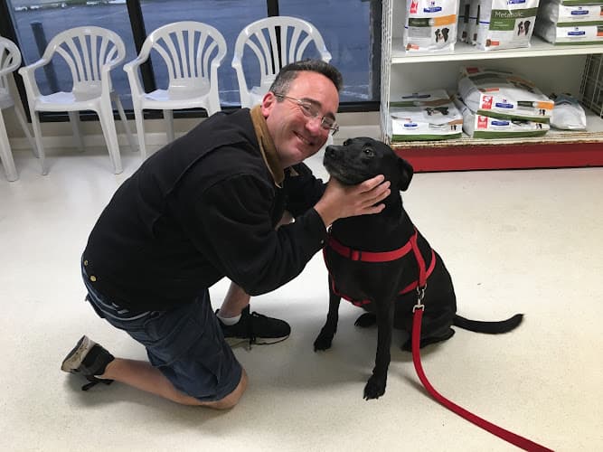 Cambridge Post Oak Animal Clinic