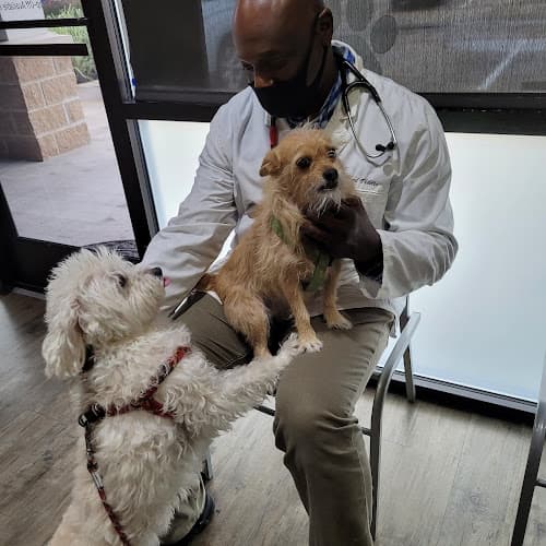 Kindred Care Pet Hospital