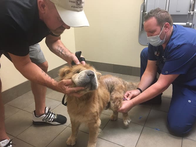 VCA Mercedes Place Animal Hospital