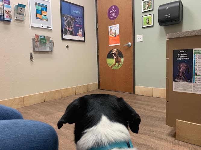 VCA Saginaw Animal Hospital