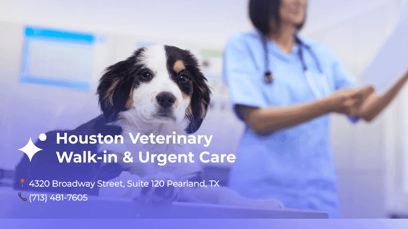 Houston Veterinary Walk-in & Urgent Care