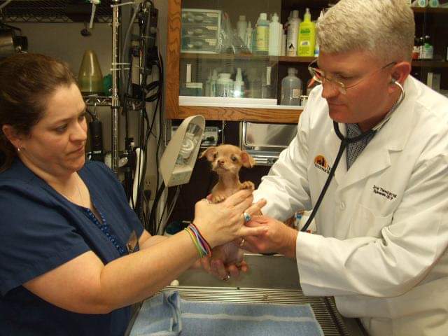 Texoma Veterinary Hospital
