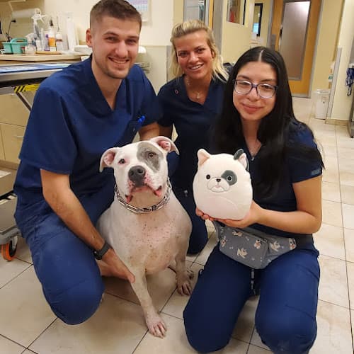 Cinco Ranch Veterinary Hospital