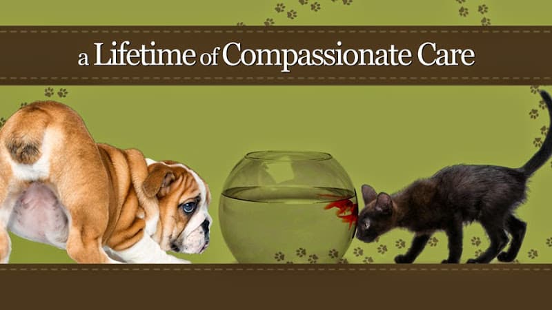 Avery Ranch Animal Hospital