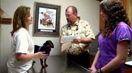 Our Family Vet - Bullard