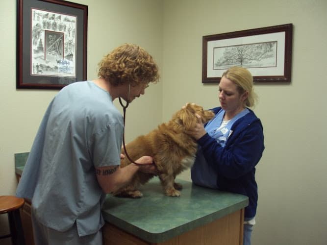 VCA Central Expressway Animal Hospital